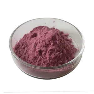 Factory Supply Minimum Good Flavor Mulberry Extract Mulberry Fruit Juice Powder