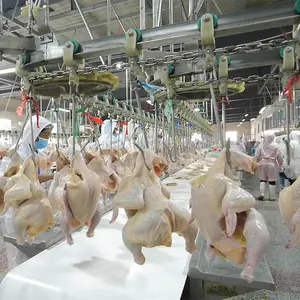 Qingdao Raniche Broiler Duck macello piccolo impianto di condimento per la lavorazione del pollo