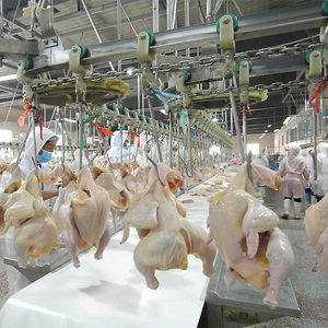 Planta de procesamiento de pollo pequeño, pollo, pato, Abattoir - Product Image 1