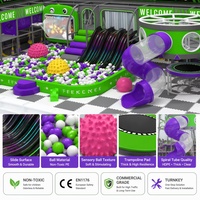 Prix d'usine Équipement de jeux intérieur à thème vert citron et violet, avec toboggan multi-voies, écran grenouille, tube spiralé et carrousel avion