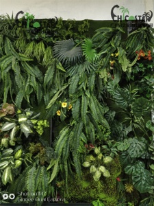 Plantas artificiales personalizables <span class=keywords><strong>para</strong></span> interiores y exteriores, pared de salón, pared <span class=keywords><strong>vertical</strong></span> verde <span class=keywords><strong>para</strong></span> jardín - Product Image 3