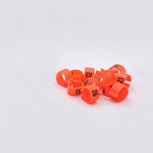 Alle Soorten Racen Australië Tag Kippenduiven Race Vogel Ring Papegaai Duif Bendes 2020 Duiventags Te Koop - Product Image 5