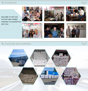 Đồng bằng 180tc/200tc/220tc/240tc bông và Polycotton Trắng tấm ga trải giường vải lanh - Product Image 5