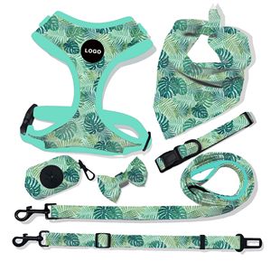 Set Harnesses Anjing Kucing Mewah Custom 2025, Dapat Disesuaikan, Bernapas, Tali & Kalung Hewan Peliharaan, Cetak Label Pribadi, Harnesses Hewan Peliharaan Modis - Product Image 5
