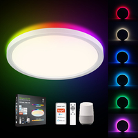 Haut-parleur LED RGBW à intensité modulable, contrôle par WIFI, enceinte Tuya, panneau décoratif de 12 pouces, 300mm, éclairage d'intérieur