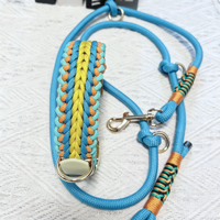 Ensemble collier et laisse pour chien réglables sur mesure, laisse en corde bleue tressée personnalisée assortie pour chiens de petite et grande taille, promenade en plein air
