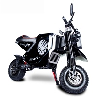 Motocicleta Eléctrica de Alta Velocidad para Adultos, 10000W, Doble Tracción, Neumático Todoterreno de 14 Pulgadas, Freno de Aceite Hidráulico XOD, Velocidad Máxima de 90 km/h, E Moto