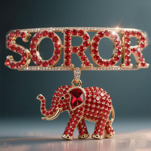 סיכת תכשיטי אלגור איגוד תכשיטים soroch - Product Image 3