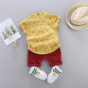 Conjunto de Ropa para Niños OEM ODM, Traje de Verano para Bebé Niño, Camisa + Pantalones, Conjuntos de Ropa para Niños - Product Image 4