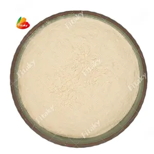 Good Grade Single Onion Powder AD Onion Powder Organic Onion Powder Halal