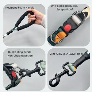 Haustierhalsband & 2,5 cm breites Halsband für mittelgroße und große Hunde mit 130–170 cm elastischer Leine, Anti-Zug-Set für den Spaziergang mit Haustieren für Golden Retriever - Product Image 3