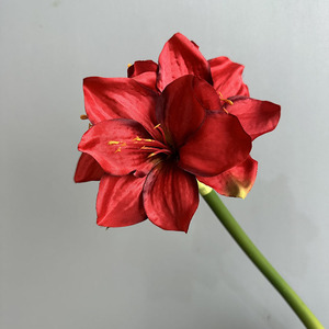 Fleurs artificielles Clivia <span class=keywords><strong>Amaryllis</strong></span> à tige unique pour la décoration <span class=keywords><strong>de</strong></span> la maison Accessoires <span class=keywords><strong>de</strong></span> remise des diplômes <span class=keywords><strong>de</strong></span> mariage Fête des mères Pâques Halloween - Product Image 6
