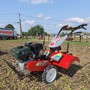 China <span class=keywords><strong>Cultivator</strong></span> Power Tillers Tuin Boomgaard Kleine Sleuf Machine <span class=keywords><strong>Mini</strong></span> Helmstok <span class=keywords><strong>Cultivator</strong></span> - Product Image 1