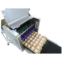 Impresora Automática de Inyección de Tinta para Huevos, Nueva, de Grado Alimenticio, con Pantalla Táctil Industrial, Tinta Solvente, Impresora TIJ, 1 Año de Garantía
