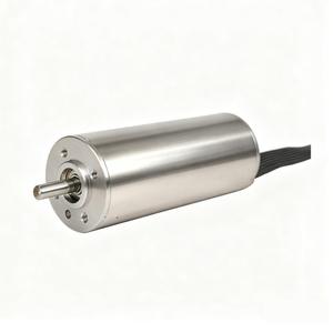 <span class=keywords><strong>Motor</strong></span> de CC sin Núcleo de 24 V, 22 mm de Diámetro, 15000 rpm, 50 mNm, Alta Densidad de Potencia, Bajo Ruido, para Herramientas Eléctricas, Venta Directa de Fábrica - Product Image 2