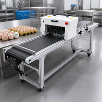 Imprimante automatique de dates pour œufs, machine de codage jet d'encre multi-têtes pour le numéro de lot, la date d'expiration et le traitement des œufs en coquille