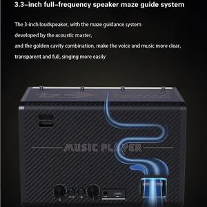 Professional Grade Portable Microphone Audio Integrated Microphone Home Singing Karaoke Home Wireless Outdoor Portable Speakers