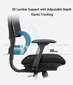 Chaise de bureau avec oreiller de soutien lombaire en maille Design réglable à dossier haut pour la maison et les utilisateurs obèses Qualité supérieure - Product Image 6