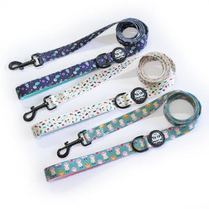 Personalized Design <strong>Dog</strong> Collar <strong>Leash</strong> Set <strong>Heat</strong> Transfer <strong>Printing</strong> with Rubber Logo Popular <strong>Dog</strong> Collar <strong>Leash</strong> - Product Image 6