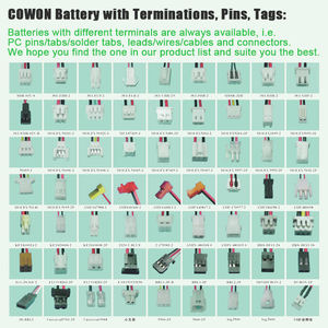 Substituição recarregável personalizada 6.0V 700mAh 4.2Wh HC4070 alta qualidade Ni-MH bateria para sistema de alarme - Product Image 4