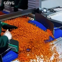 Premium kwaliteit voor gezondheidsbewuste/zoete tropische exotische fruitgroothandel, directe export, fabrieksprijs, verse bevroren duindoorn