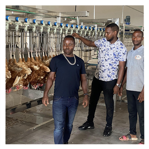 Équipement d'élevage automatique de poulets Eruis, machine de nettoyage des pattes de poulet halal, équipement d'usine de poulets, équipement pour poules, plumeux - Product Image 4