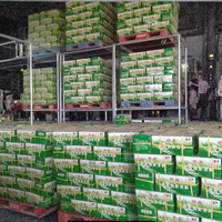 Panneau d'isolation murale ignifuge commercial, bouclier thermique flexible en coton polyester pour la construction