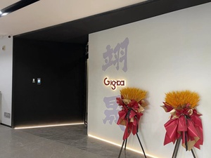 Laser a Diodi 1470nm + 980nm per Uso Estetico e Benessere Femminile - Product Image 4