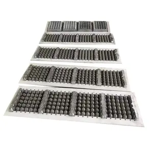 Mold For Eggs 30 Oeufs Moules Pour Pulp Moulding For Egg Tray Machine