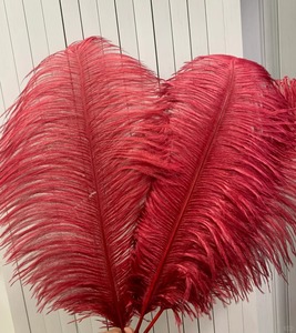 Piume di struzzo colorate grandi e conservate fatte a mano da 15-75 cm per matrimoni, lauree, Natale, Ringraziamento, Festa della Mamma, Capodanno - Product Image 1