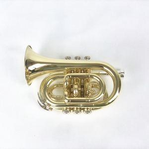 <span class=keywords><strong>Trompette</strong></span> de poche à <span class=keywords><strong>3</strong></span> <span class=keywords><strong>pistons</strong></span>, instrument en laiton, <span class=keywords><strong>trompette</strong></span> de poche économique - Product Image 2