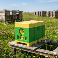 Großhandel Neue Mini-Bienenstock-Zuchtbox für Bienenzucht Lieferbox Grün/Gelb 3 Monate Garantie