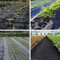 Agriculture Barrière contre les mauvaises herbes Paysage Tissu Heavy Duty Weed Block Jardinage Tapis de couverture du sol Contrôle des mauvaises herbes Tissu de jardin