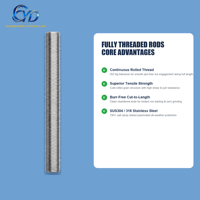 Wholesale Metric 304 Stainless Steel Grade 4.8/6.8 Zinc Coarse Thread Head Fully Threaded Rods Stud M8 M20 for Heavy Industry