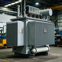 SinoShine Delta Wye Yağ Tipi Güç Trafosu 500kVA 800kVA 1000kVA 10kV Elektrik Ekipmanları Dağıtım Trafoları