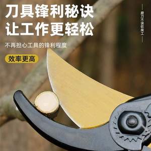 Outil d'affûtage de couteaux portable pour usage domestique, pour couteaux de cuisine, avec de nouvelles lames en acier tungstène et grattoirs en acier allié - Product Image 5