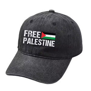Various Specifications Competitive Price Promotional Hats