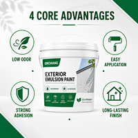 Peinture murale extérieure au latex TC pour façades de bâtiments et rénovation de maisons Couleurs et emballages personnalisés