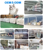 Litière pour chat au tofu imprimée sur mesure, 6L, faible teneur en poussière, biodégradable, écologique, jetable aux toilettes, pour commandes en gros de marques