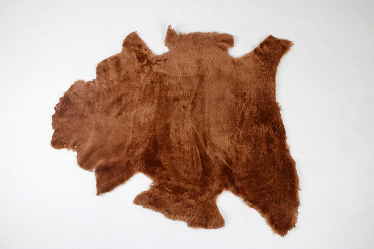 Marron