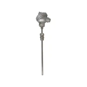 WZPK 100 Degree Celsius PT100 Temperature Sensor