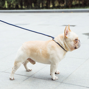 Tali anjing Slip mobil, tali latihan banyak tali anjing peliharaan - Product Image 4