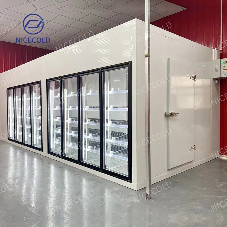 Commercial Display Glass Door Walk In Beer Cooler Freezer Food Storage Cold Room