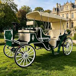 Conception créative de carrosse à chevaux vintage personnalisé, carrosses de tourisme, carrosse à chevaux électrique sur mesure - Product Image 1