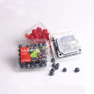 Almohadilla Absorbente de Frutas Personalizada para Fresas, Frambuesas y Arándanos, Producto Ecológico y Respetuoso con el Medio Ambiente - Product Image 6