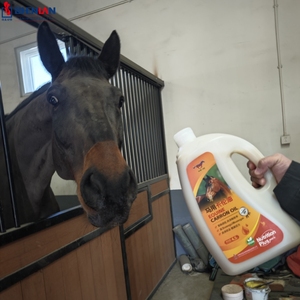 Ngựa tỏa sáng Áo Carron dầu hạt lanh tiêu hóa ngựa bổ sung - Product Image 6