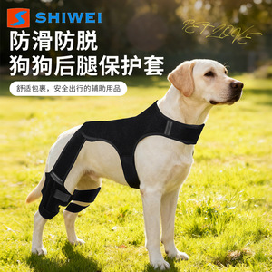 อุปกรณ์ป้องกันขาหลังสุนัขยี่ห้อ Shiwei สีดำ ช่วยรัดกระชับข้อต่อ ป้องกันการบาดเจ็บขณะวิ่ง - Product Image 1