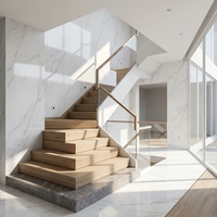 Escalier de villa moderne en structure acier-bois, design simple, à poutre unique droite, avec garde-corps en verre et main courante en acier inoxydable, pour intérieur 5