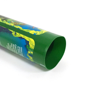 Emballage de crème solaire transparent vide et souple, écologique, sans BPA, emballage cosmétique en plastique, tube d'étiquetage cosmétique