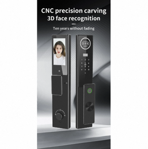 Caméra de surveillance WiFi, serrure de porte numérique intelligente avec reconnaissance d'empreintes digitales et de visage, application Tuya pour la sécurité des portes en aluminium/acier/verre - Product Image 1
